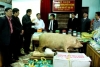 Trường TC nghề Mitraco đào tạo kỹ thuật chăn nuôi lợn thịt