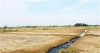Nâng cấp, kiên cố hóa cánh đồng muối chất lượng cao huyện Lộc Hà