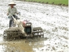 Nông dân Tùng Lộc đưa cơ giới hoá vào sản xuất, làm đất. Ảnh: VH