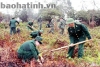 Bộ đội Biên phòng Hà Tĩnh trồng trên 21 ngàn cây xanh đầu xuân mới