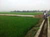 HĐND Thị xã Hồng lĩnh: Giám sát “Công tác đầu tư xây dựng kết cấu hạ tầng NTM” năm 2011,2012 tại xã Thuận Lộc”