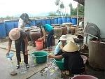 Hà Tĩnh: Hợp tác xã chế biến nước mắm của những phụ nữ nghèo