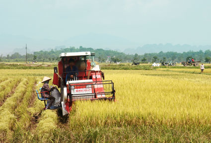 Cơ giới hóa đồng bộ trong sản xuất lúa ở Hà Nội: Giảm chi phí, giải phóng sức lao động