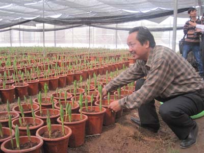Ông Phương thăm mô hình trồng hoa công nghệ cao tại xã Thụy Hương (Chương Mỹ-Hà Nội).