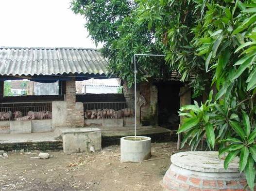 Hiệu quả xây dựng bể biogas xử lý chất thải  trong chăn nuôi ở Cẩm Bình