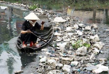 Thương lái Trung Quốc bỏ đi, dân trồng khoai lang “chết” đứng