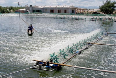 Chương trình triển khai bảo hiểm nông nghiệp tiến độ thực hiện còn chậm. Ảnh: Huy Hùng