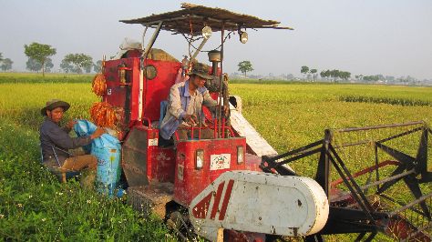 Cơ giới hóa trong sản xuất nông nghiệp ở xã Thạch Xá, huyện Thạch Thất, Hà Nội. Ảnh: Văn Thắng.