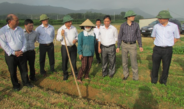Phó Chủ tịch UBND tỉnh Lê Đình Sơn kiểm tra tiến độ sản xuất rau củ quả tại Bãi Bồng