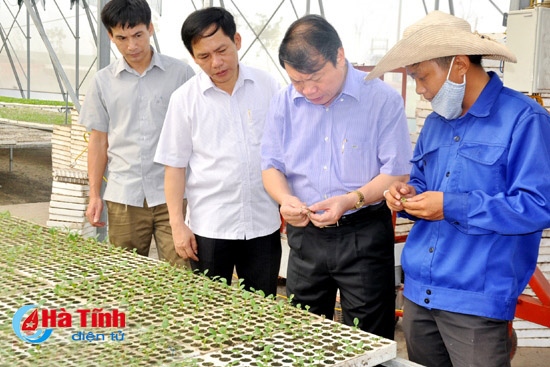 Nông dân Hà Tĩnh tích cực tham gia xây dựng NTM, xóa đói giảm nghèo