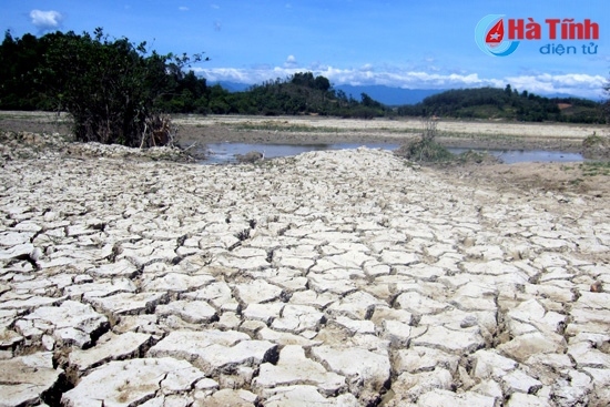 Nắng nóng gay gắt kéo dài khiến nhiều địa phương ở Hà Tĩnh khô hạn nghiêm trọng