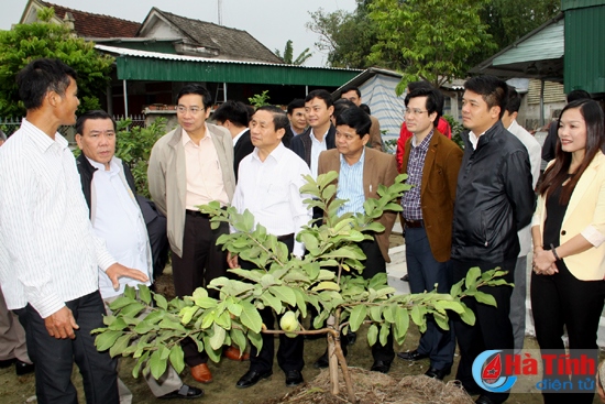 Phát huy dân chủ rộng rãi trong xây dựng nông thôn mới ở Thạch Hà