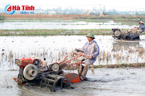 Can Lộc phấn đấu đạt trên 95% cơ giới hóa khâu làm đất.