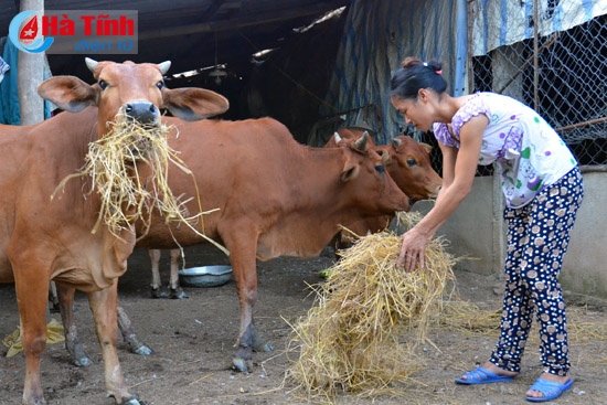 Cơ hội để hộ mới thoát nghèo vươn lên trong sản xuất