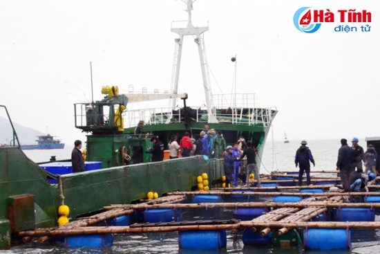 Công ty NTTS Hoàng Dương cùng với Công ty Fineton xuất khẩu 9 tấn cá sang Hồng Kông