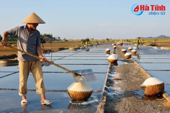 muoi ha tinh dam bao an toan ve sinh thuc pham