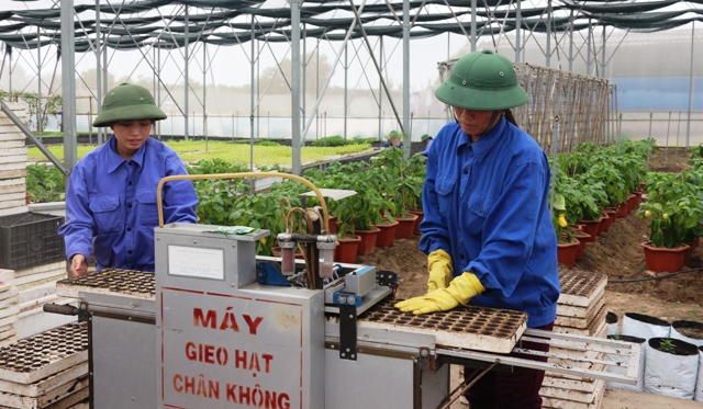 Ứng dụng công nghệ cao trong trồng rau, củ, quả tại xã Thạch Văn, huyện Thạch Hà (Hà Tĩnh).