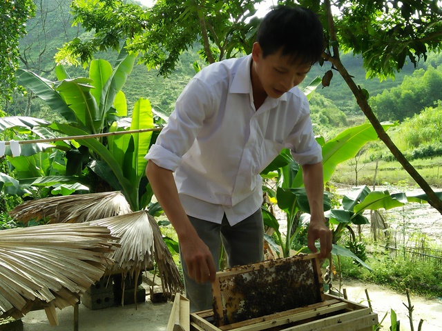 Từ nuôi ong mỗi năm cho gia đình anh Lê Văn Hường, Tổ dân phố 1, thị trấn Vũ Quang thu nhập trên 100 triệu đồng