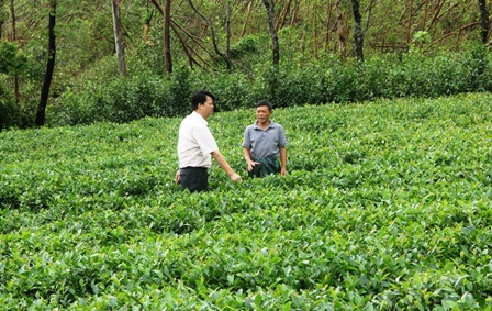 Đ/c Trần Nhật Lam, Phó Trưởng đoàn liên ngành thăm mô hình vườn mẫu tại xã Kỳ Trung