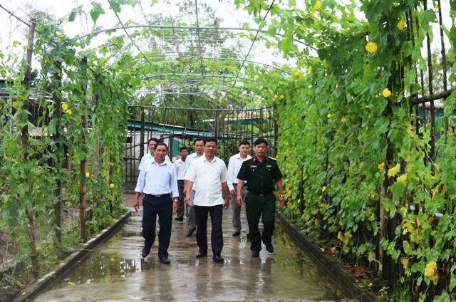 Đoàn liên ngành tỉnh kiểm tra vườn mẫu tại xã Thạch Văn (Thạch Hà)