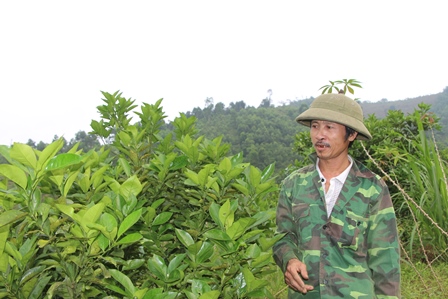 Trần Ngọc Hóa - Cựu chiến binh gương mẩu trong xây dựng vườn mẩu