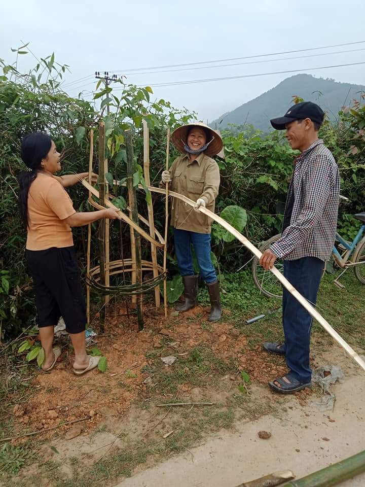 Đoàn viên công đoàn xã Đức Liên và đông đảo bà con nhân dân thôn Hội Trung, Đồn Thượng sôi nổi ra quân trồng cây bóng mát và hàng rào xanh trên các tuyến đường.