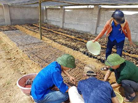 Đoàn viên công đoàn xã Hương Thọ tham gia xây dựng vườn ươm