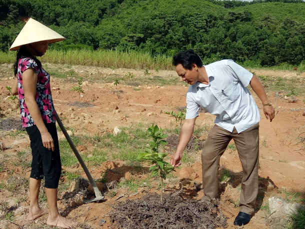 Xã Hương Quang trồng mới 7.300 cây ổi lê Đài Loan