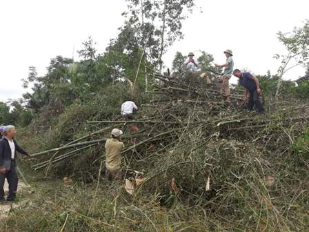 Hội viên Hội Cựu chiến binh huyện Vũ Quang sôi nổi ra quân giúp bà con nhân dân thôn 4, xã Hương Thọ phá bỏ vườn tạp, xây dựng vườn mẫu.