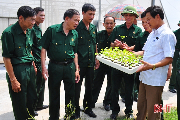 Cựu chiến binh Hà Tĩnh “4 rõ” khi tham gia xây dựng NTM