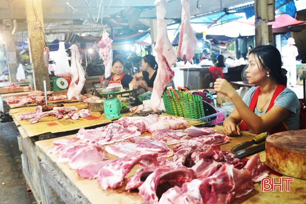 Dịch tả lợn châu Phi và những hệ lụy thị trường ở Hà Tĩnh