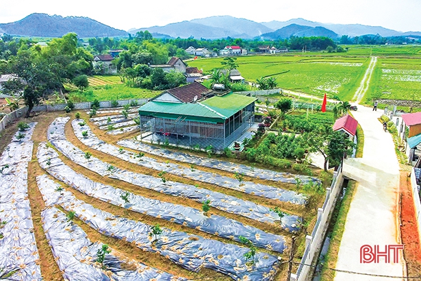Giá trị mới trong xây dựng nông thôn mới ở Hà Tĩnh