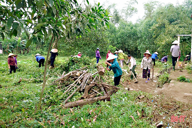 Phụ nữ Cẩm Xuyên xóa bỏ hơn 4.000 vườn tạp, vườn hoang vắng chủ