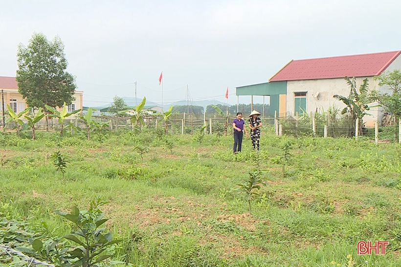 Phụ nữ Cẩm Xuyên xóa bỏ hơn 4.000 vườn tạp, vườn hoang vắng chủ