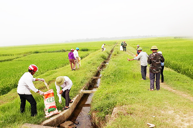 Nông dân Hương Sơn xuống đồng thu gom rác, chống “ô nhiễm trắng”