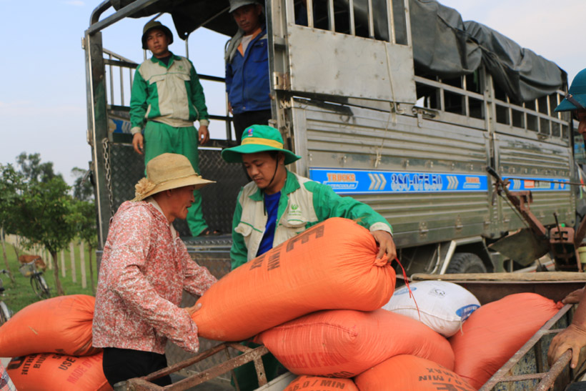 Doanh nghiệp thu mua lúa hơn giá thị trường, nông dân Hà Tĩnh phấn khởi