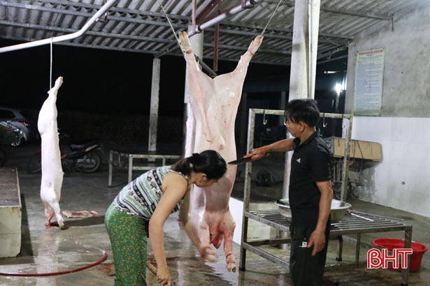 Kiểm soát chặt tại lò mổ, mang thịt lợn sạch đến người dùng Hà Tĩnh