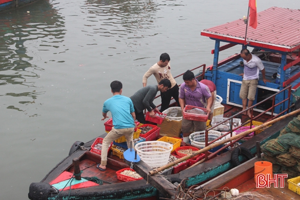 Giá xăng dầu “leo thang”, nhiều tàu cá ngư dân Hà Tĩnh nằm bờ