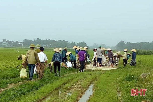 Hàng nghìn nông dân Hà Tĩnh ra quân làm sạch môi trường