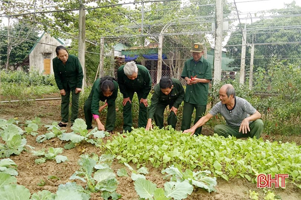 71 cựu TNXP huyện Thạch Hà được trao tặng huy hiệu “Nông thôn mới”