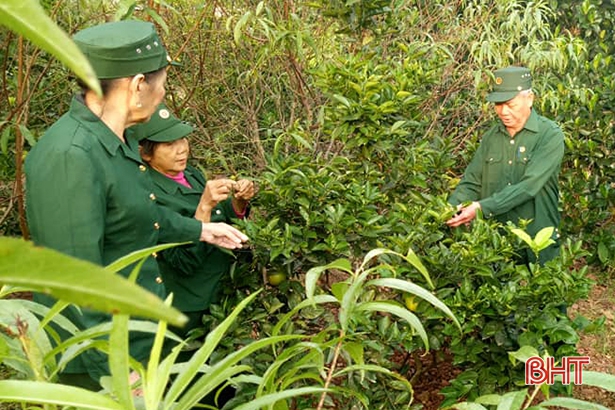 71 cựu TNXP huyện Thạch Hà được trao tặng huy hiệu “Nông thôn mới”