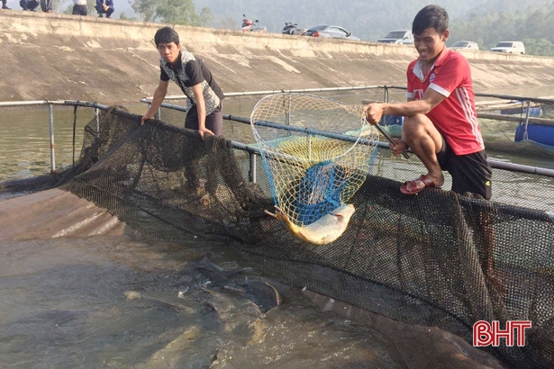 Hà Tĩnh: Sản lượng nuôi trồng thủy sản 6 tháng ước đạt hơn 5.600 tấn