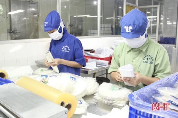 Thủy sản Nam Hà Tĩnh muốn “bỏ túi” 125 tỷ đồng trong năm 2019