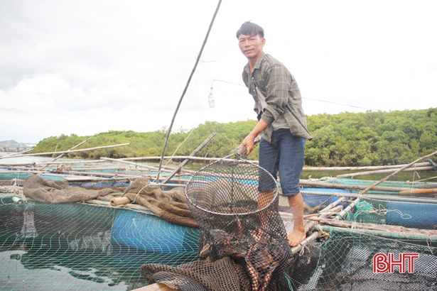 Thạch Sơn đưa cá nuôi lồng bè thành sản phẩm OCOP