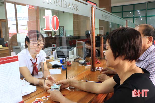 Trong “bão dịch”, ngân hàng gỡ khó cho người chăn nuôi Hà Tĩnh