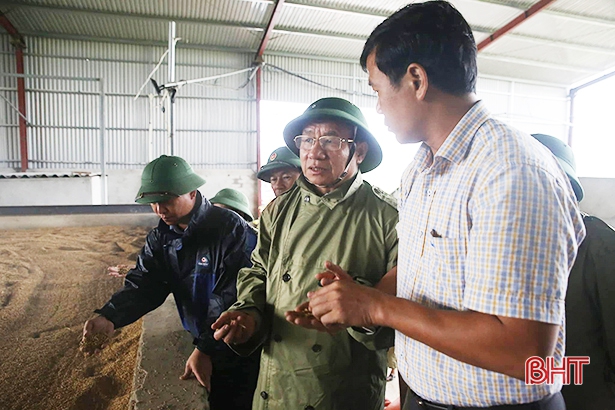 Bí thư Tỉnh ủy: Dồn sức thu hoạch lúa, hỗ trợ nhân dân hong sấy và tiêu thụ sản phẩm