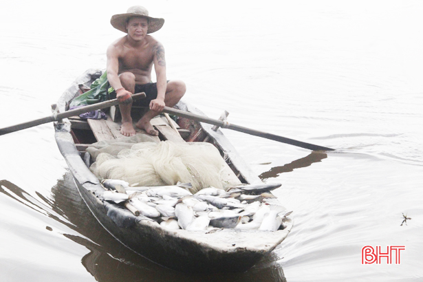 Sở TN&MT Hà Tĩnh xác định nguyên nhân bước đầu khiến thủy sản chết hàng loạt