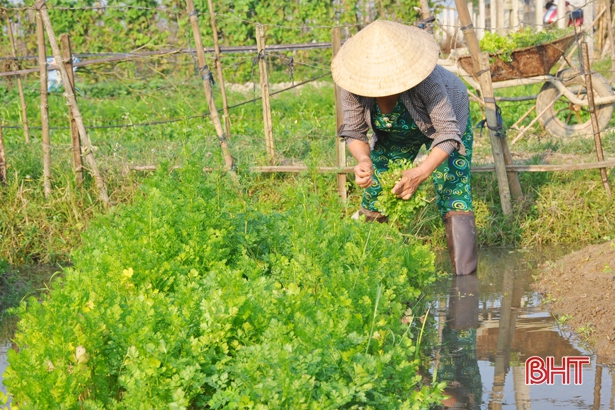 Xã đầu tiên của Hà Tĩnh xây dựng mô hình văn hóa an toàn thực phẩm