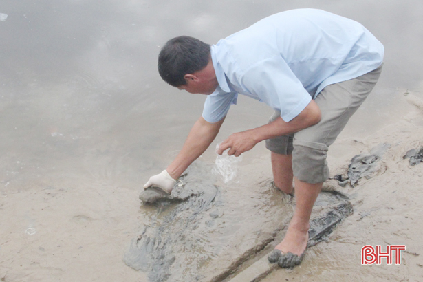 Chuyên gia lấy mẫu, tìm nguyên nhân thủy sản chết hàng loạt ở Hà Tĩnh