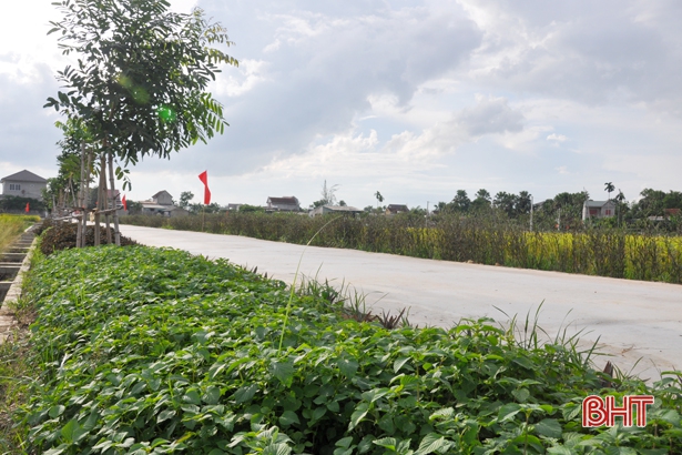 Độc đáo “con đường rau thơm” ở Hà Tĩnh